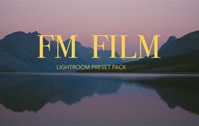 37个经典胶片扫描电影颗粒纹理LR调色预设包 Forrest Mankins - FM Film Lightroom Presets