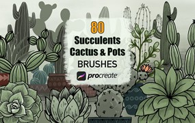 仙人掌多肉植物花盆元素Procreate笔刷素材 Cactus Succulents and Pots – Procreate Brushes