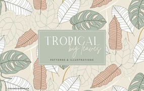 植物叶子热带图案素材 Big Leaves – Tropical Patterns
