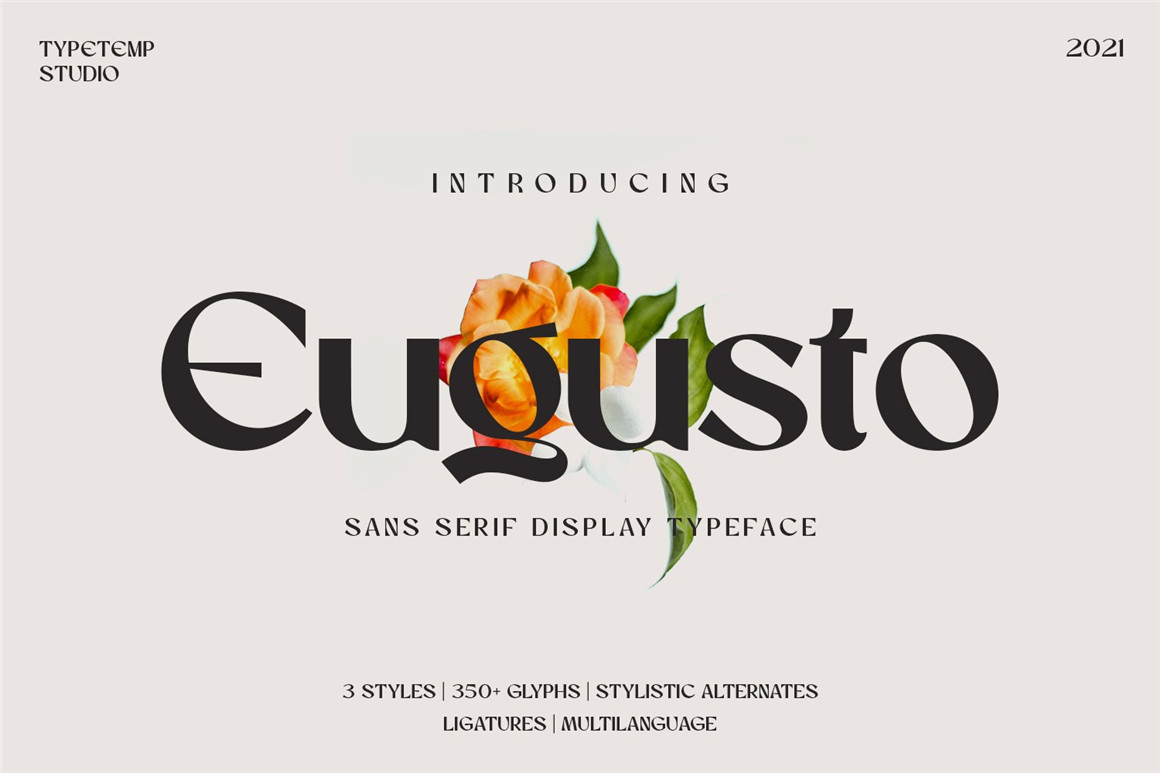 英文字体：现代时尚优雅女性化品牌推广海报标题设计Logo英文字体素材包 Eugusto Display Typeface 设计素材 第13张