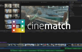 多视频色彩匹配调色插件 CineMatch 达芬奇/FCPX/PR Win/Mac破解版