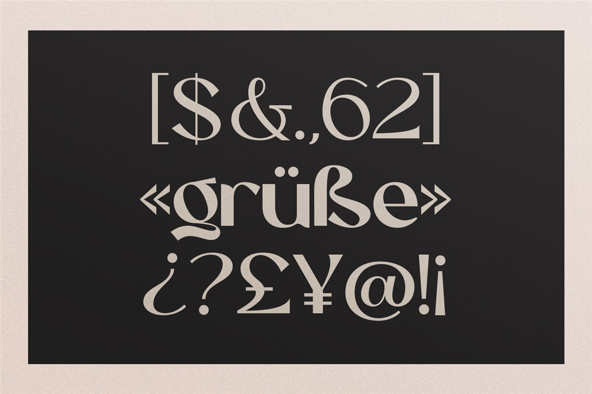 英文字体：现代时尚优雅女性化品牌推广海报标题设计Logo英文字体素材包 Eugusto Display Typeface 设计素材 第14张