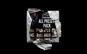 Steven Wommack 油管大神史蒂文·沃马克胶片预设合集 All Presets Pack + Youtube (2020)