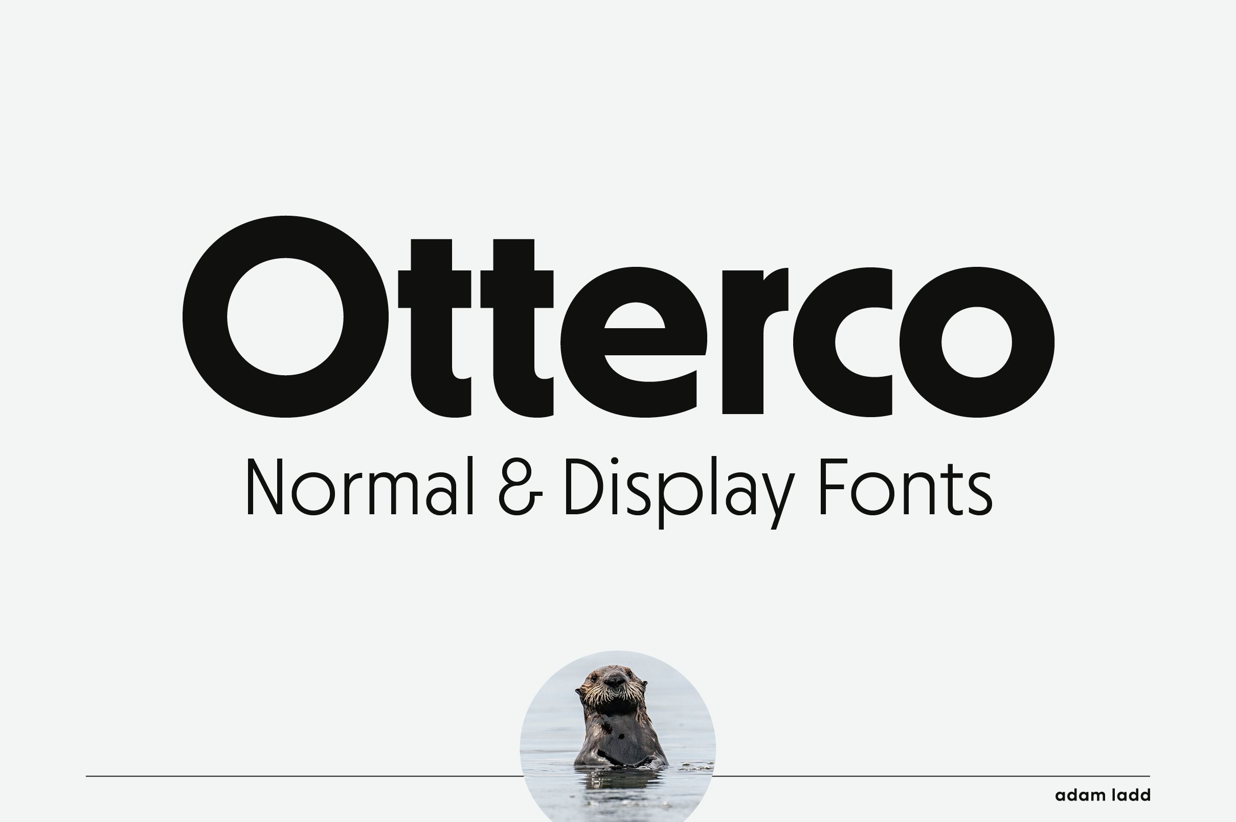 Otterco现代无衬线英文字体完整版 设计素材 第1张