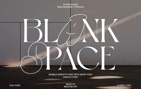 英文字体：现代复古杂志品牌广告设计无衬线字体 Blank Space | Modern Display