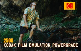 达芬奇柯达250D胶片模拟颗粒光晕亮度曲线调色节点 Davinci Resolve Kodak film emulation Powergrade