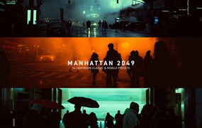 银翼杀手风格夜间摄影暗色调LR调色预设 Manhattan 2049