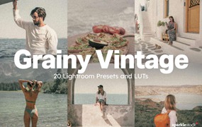 20款复古独特色彩电影纹理颗粒LUT+LR调色预设 20 Grainy Vintage Lightroom Presets and LUTs