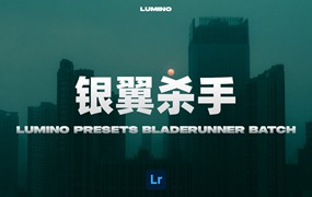 银翼杀手风格夜间摄影暗色调LR调色预设 Lumino Presets Bladerunner Batch 1 Lightroom