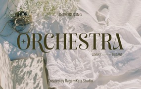 英文字体：高端现代经典优雅书籍杂志电影标题徽标LOGO设计衬线英文字体 Orchestra - Modern Elegant Serif
