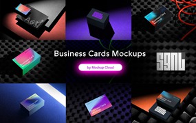 暗黑北欧质感品牌Vi设计商务名片卡片展示贴图PSD样机模板素材 Business Cards Mockups / SGNL Series