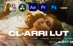 CL-ARRI LUT 35个阿莱胶片电影摄影机视频素材专用LUT色彩预设包