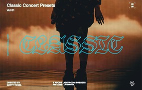 Matty Vogel 6种音乐演唱会夜店体育馆照片LR调色预设包 Classic Concert Presets vol. 01