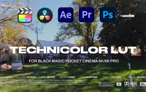 老式彩色电影镜头高饱和外观Luts调色预设 Technicolor LUT Pack for Black Magic Pocket Cinema 6K/6k Pro