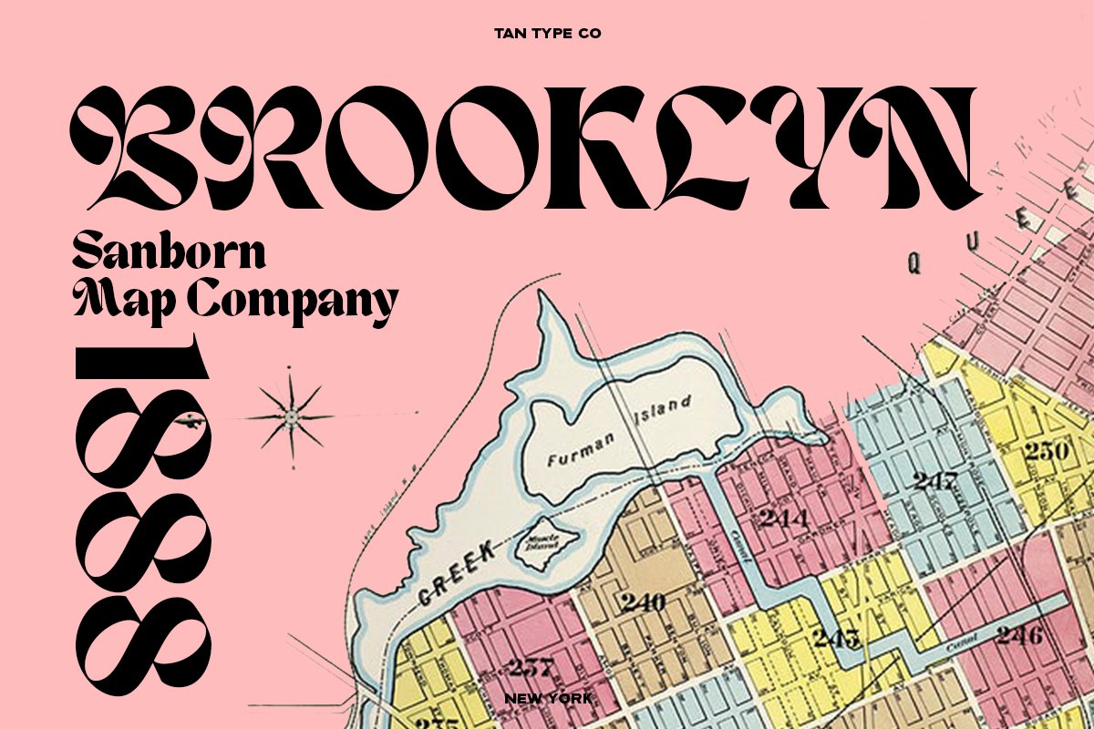 英文字体：复古时尚优雅杂志海报标题设计无衬线字体 TAN - NEW YORK 设计素材 第9张