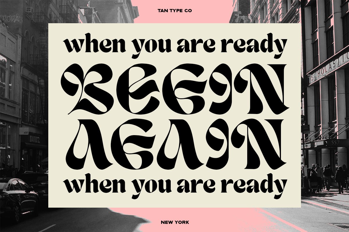 英文字体：复古时尚优雅杂志海报标题设计无衬线字体 TAN - NEW YORK 设计素材 第8张