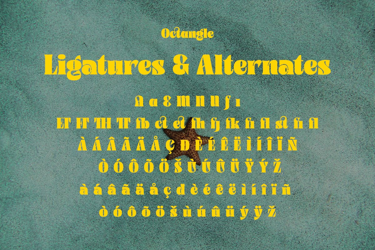 英文字体：60年代复古经典Y2K风书籍杂志服装标题LOGO设计英文字体包 Octangle - Retro Y2K Typeface 设计素材 第10张