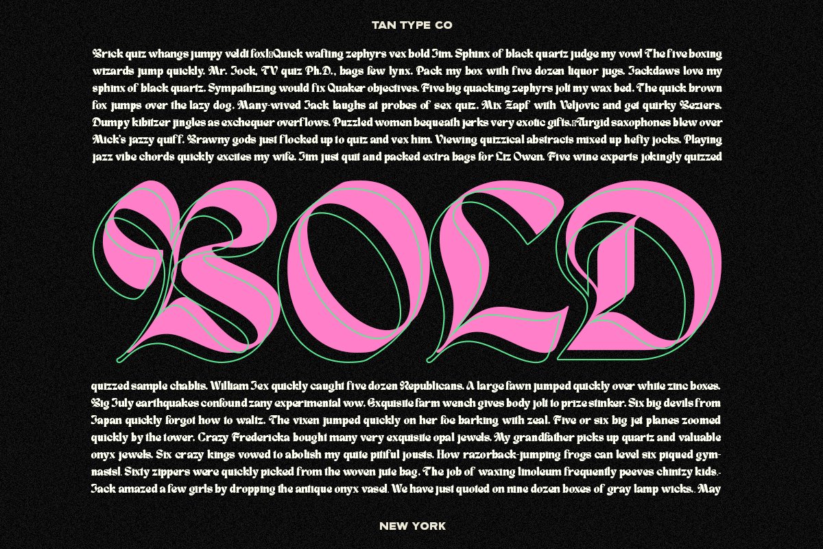 英文字体：复古时尚优雅杂志海报标题设计无衬线字体 TAN - NEW YORK 设计素材 第5张
