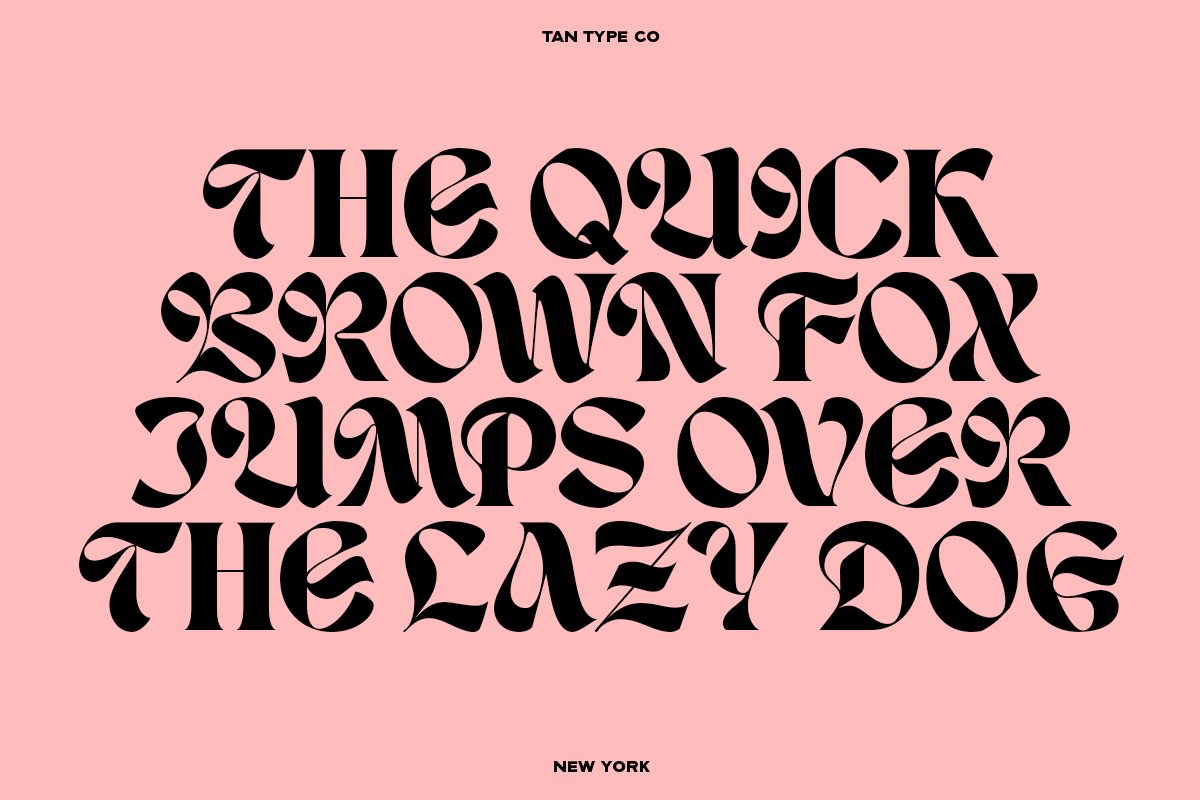 英文字体：复古时尚优雅杂志海报标题设计无衬线字体 TAN - NEW YORK 设计素材 第6张