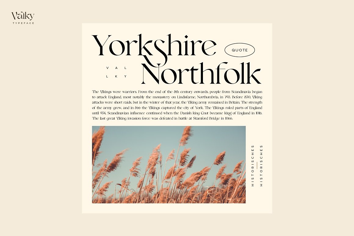 英文字体：现代经典海报杂志文字设计衬线英文字体素材 Valky Classic Modern Typeface 设计素材 第6张