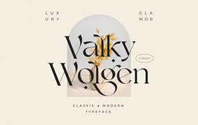 英文字体：现代经典海报杂志文字设计衬线英文字体素材 Valky Classic Modern Typeface