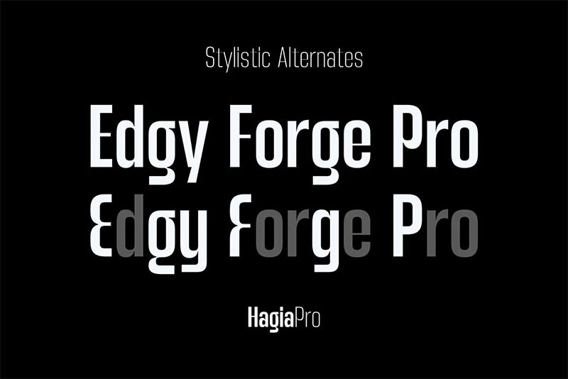 Hagia Pro现代无衬线字体完整版 设计素材 第2张