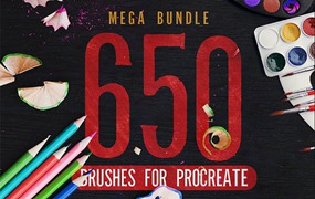 650+Procreate全套画笔和纹理笔刷