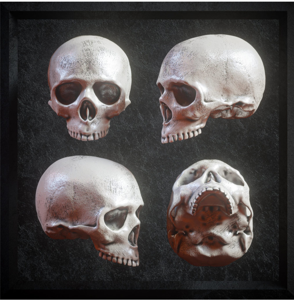 炫酷逼真3D人类头盖骨FBX模型素材 Billelis 3D Skull Model Pack . 第5张