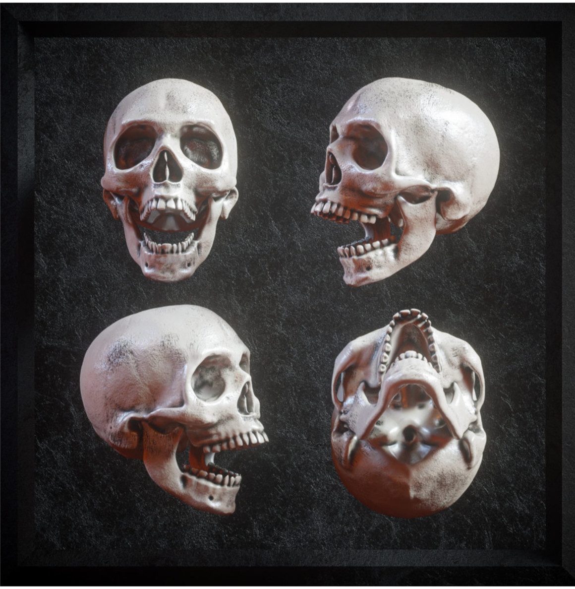 炫酷逼真3D人类头盖骨FBX模型素材 Billelis 3D Skull Model Pack . 第6张
