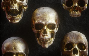 炫酷逼真3D人类头盖骨FBX模型素材 Billelis 3D Skull Model Pack