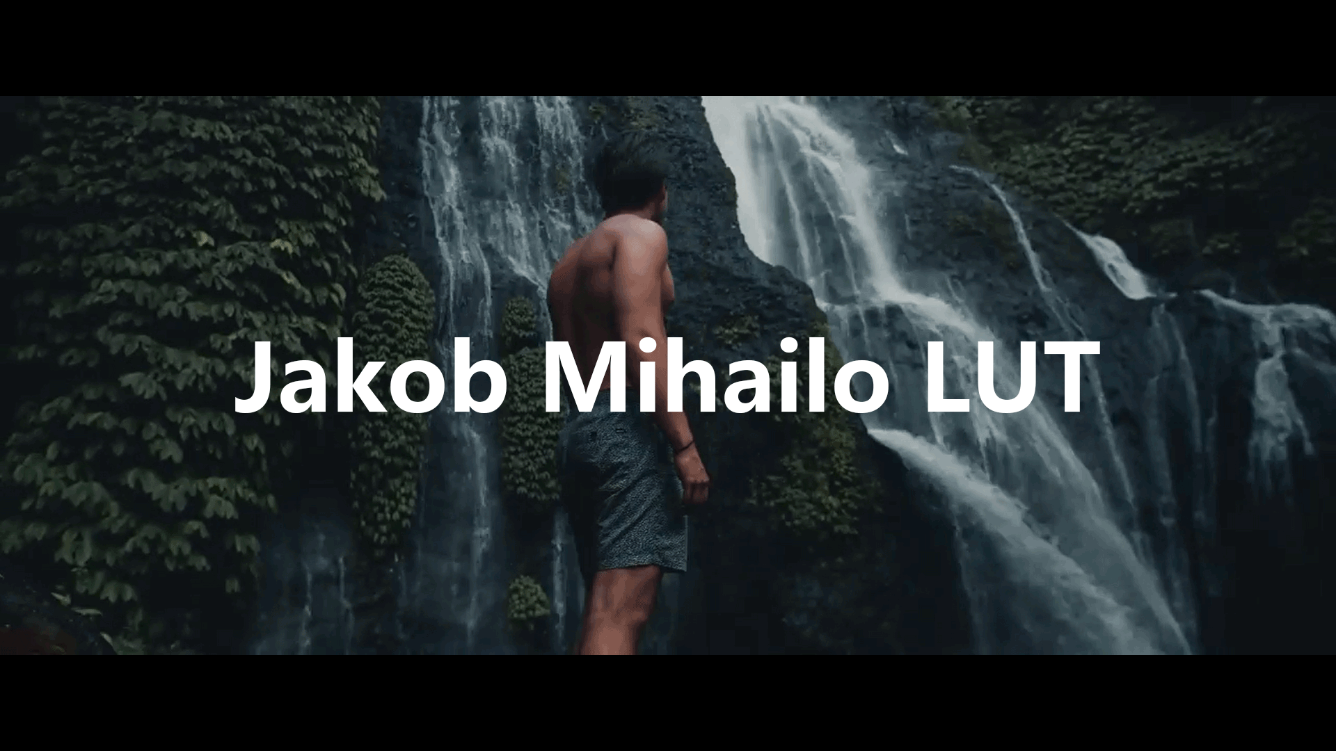 高级氛围感热带森林电影级旅拍调色VLOG风格大片预设包 Jakob Mihailo LUT 插件预设 第1张