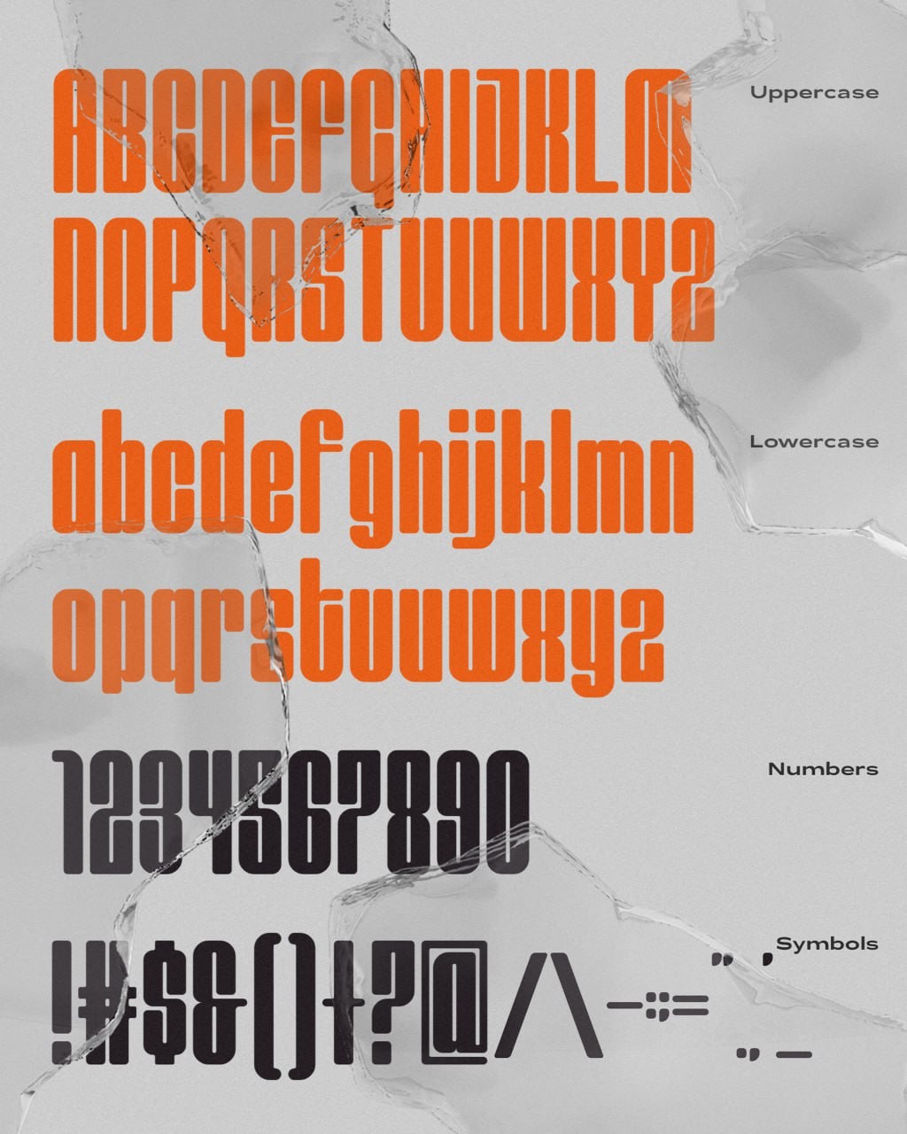 Leentank Condensed 现代时尚英文字体 设计素材 第3张