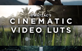 66个深邃干净佳能/索尼/大疆/电影镜头色彩分级LUT调色预设 Cinematic Video LUTS By Watzac