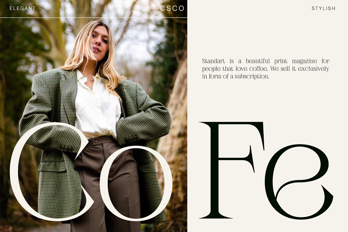 英文字体：奢华氛围品牌杂志标题LOGO徽标设计PSAI衬线字体安装包 Febila – Elegant Serif Font . 第2张