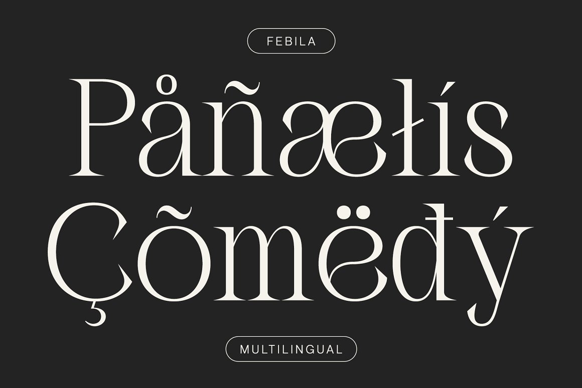 英文字体：奢华氛围品牌杂志标题LOGO徽标设计PSAI衬线字体安装包 Febila – Elegant Serif Font . 第4张