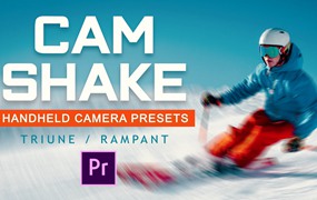 Triune Digital 34个真实手持外景运动模糊拍摄模拟相机抖动PR预设包 Cam Shake
