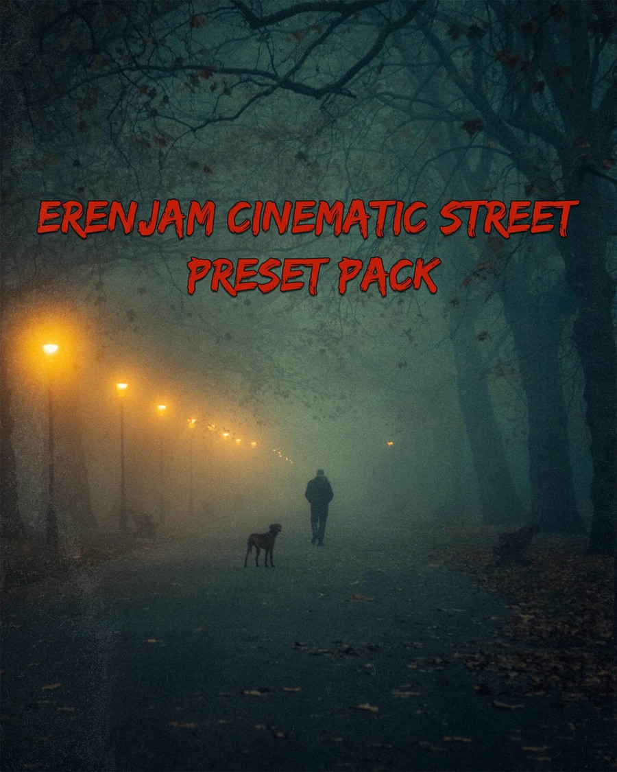 12款电影胶片风格街头扫街街拍港风复古色调电影感LR预设 ErenJam Cinematic Street Preset Pack 插件预设 第1张