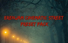 12款电影胶片风格街头扫街街拍港风复古色调电影感LR预设 ErenJam Cinematic Street Preset Pack