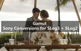 高级感婚礼跟拍婚纱摄像索尼相机转换LUT调色预设包 Gamut Sony Conversions for SLog3 & SLog2