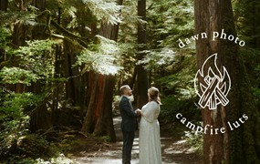 18个高级调性婚纱旅拍视频LUTS调色预设包 G-Presets x Dawn Charles – Campfire LUTS