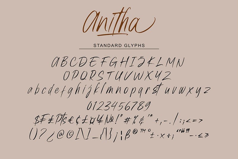 Anitha书写风格的英文字体 设计素材 第2张