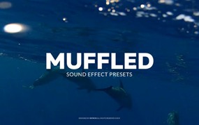 PR预设：10个水下室内外昏迷晕眩消音效果音效预设包 Muffled Sound Effect