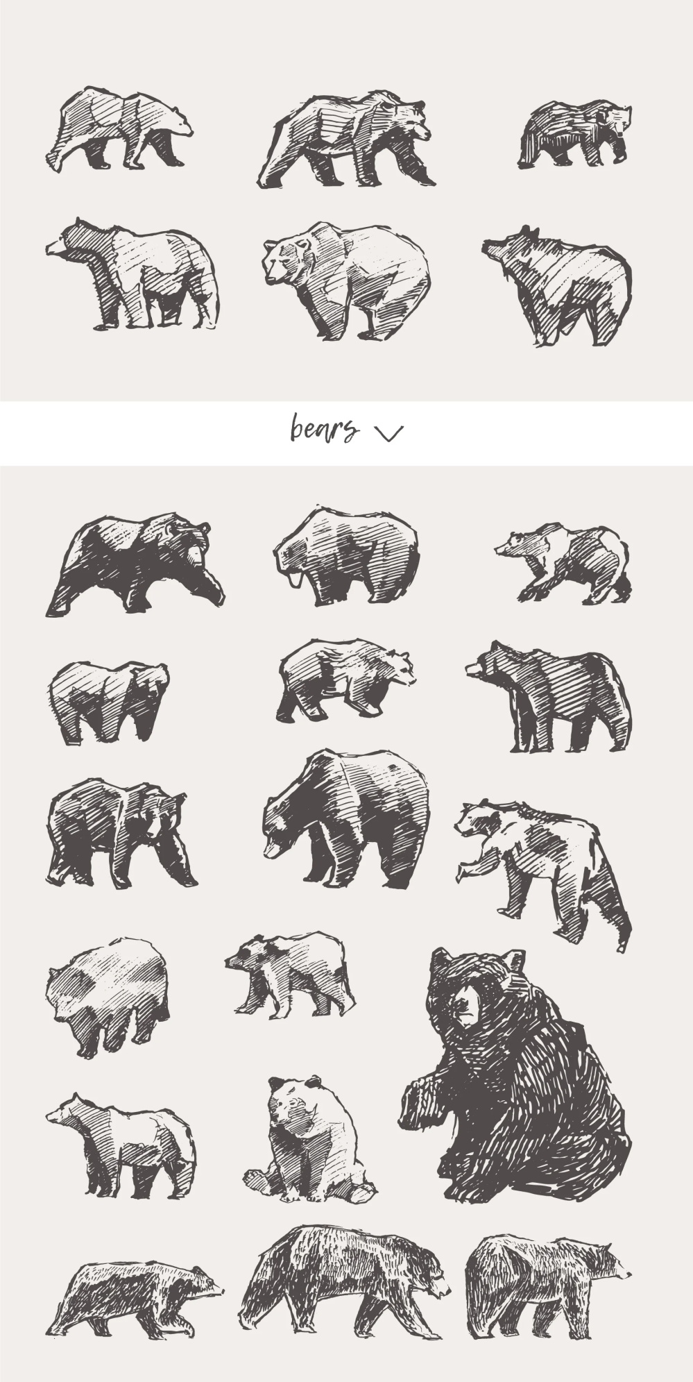 21种森林动物海洋生物插图矢量素材 图片素材 第2张
