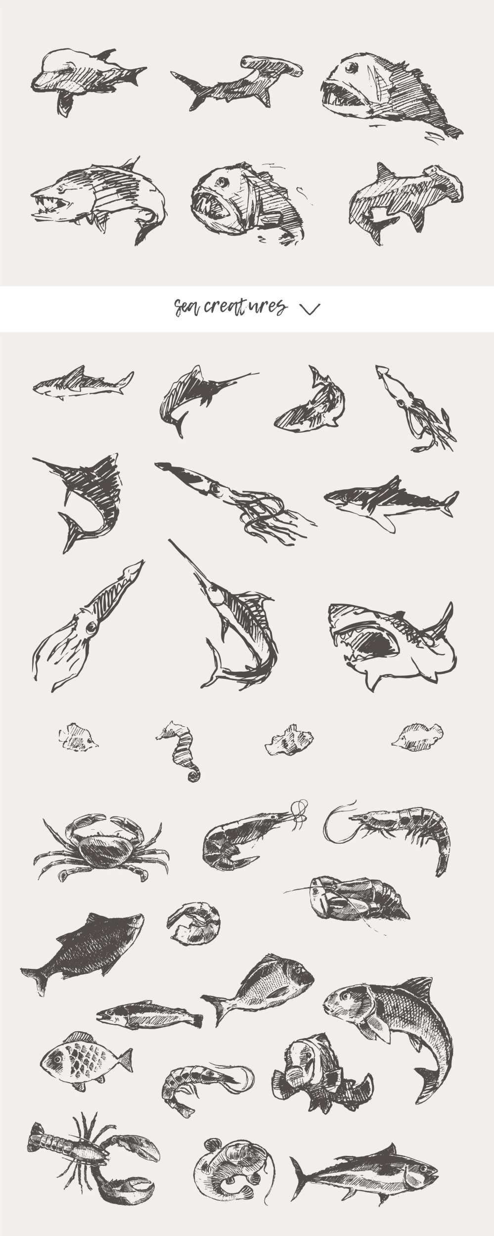 21种森林动物海洋生物插图矢量素材 图片素材 第15张