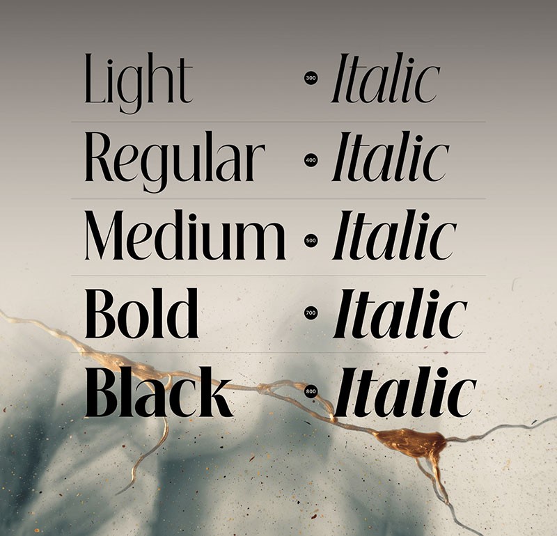 Beautique Display古典英文衬线字体，免费可商用 设计素材 第3张