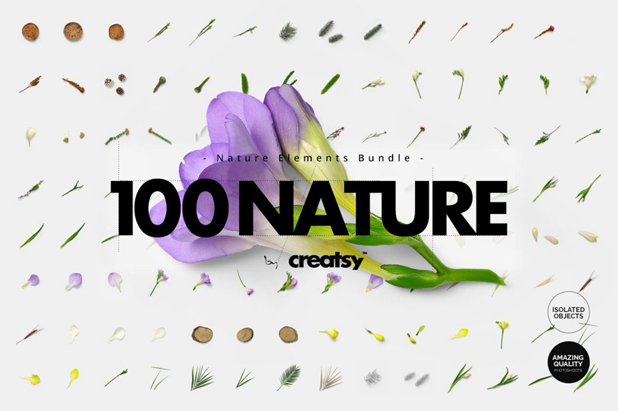 100款绿色花卉自然植物元素tif格式高质量图片素材套装 图片素材 第1张