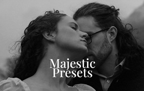 电影氛围高级质感婚礼旅行人像摄影调色LR预设 DVLOP - The Kitcheners - Majestic Presets + Video Guide