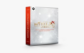 FCPX插件：15个圣诞节日主题3D三维文字标题动画预设 MotionVFX – mTitle 3D Christmas