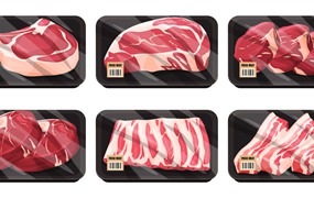 6款冷冻猪肉牛肉牛排插图矢量素材