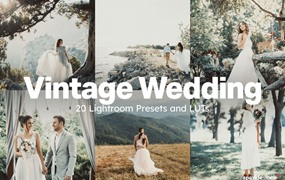 20款复古户外婚礼人像摄影后期Lightroom预设及电影调色LUT预设